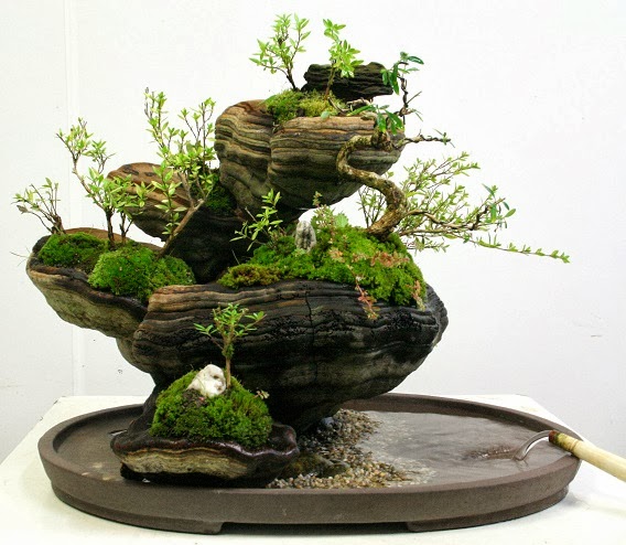 Penjing on a Fungus (2)