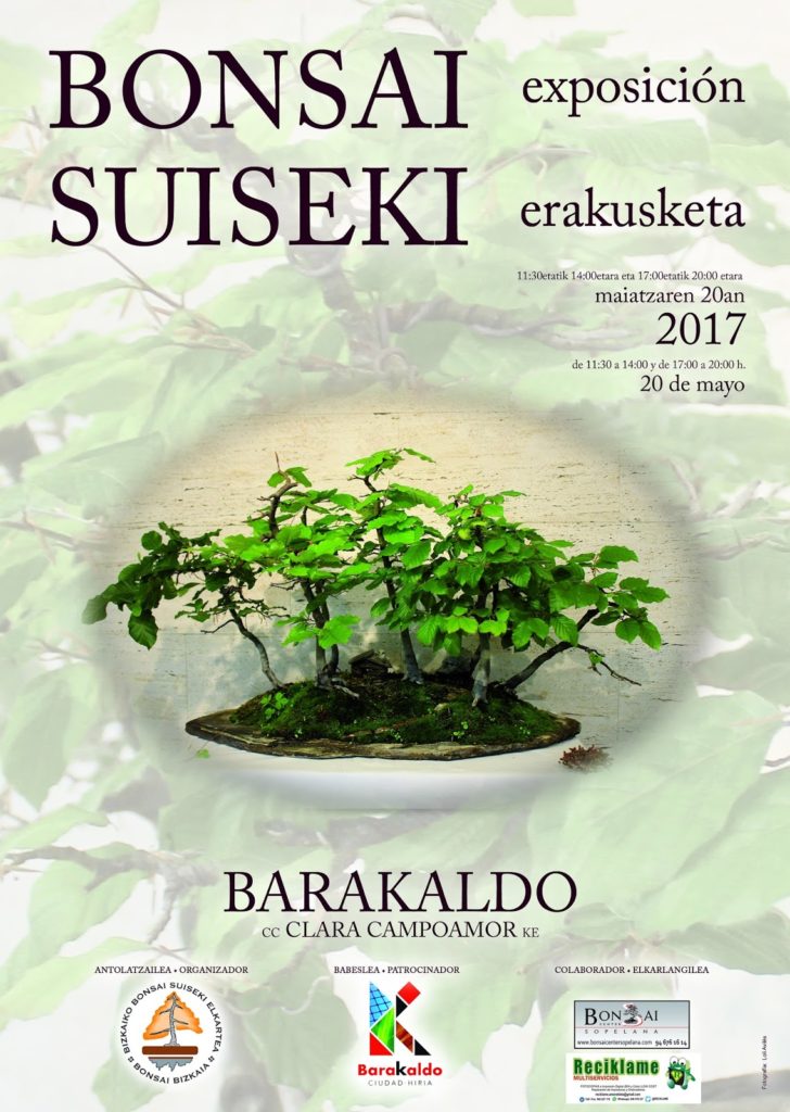 Bonsai Bizkaia