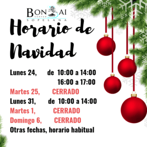 HORARIO DE NAVIDAD.