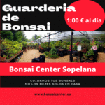 SERVICIO DE GUARDERIA 2026
